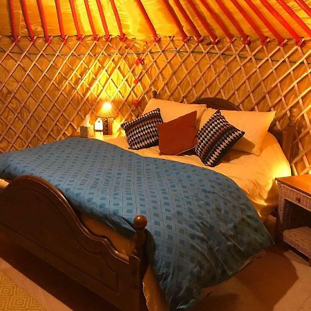 McClure Yurt at Carrigeen Glamping Kilkenny Buitenkant foto