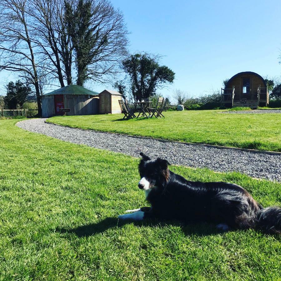 McClure Yurt at Carrigeen Glamping Kilkenny Buitenkant foto